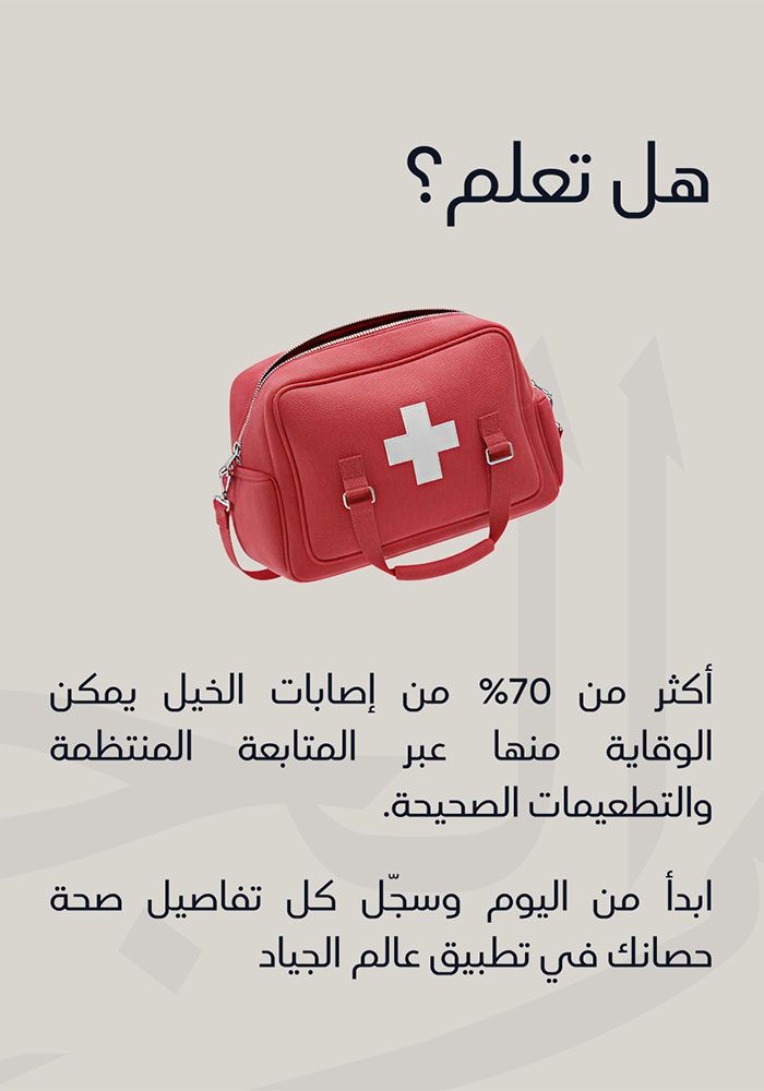 السجلات الصحية