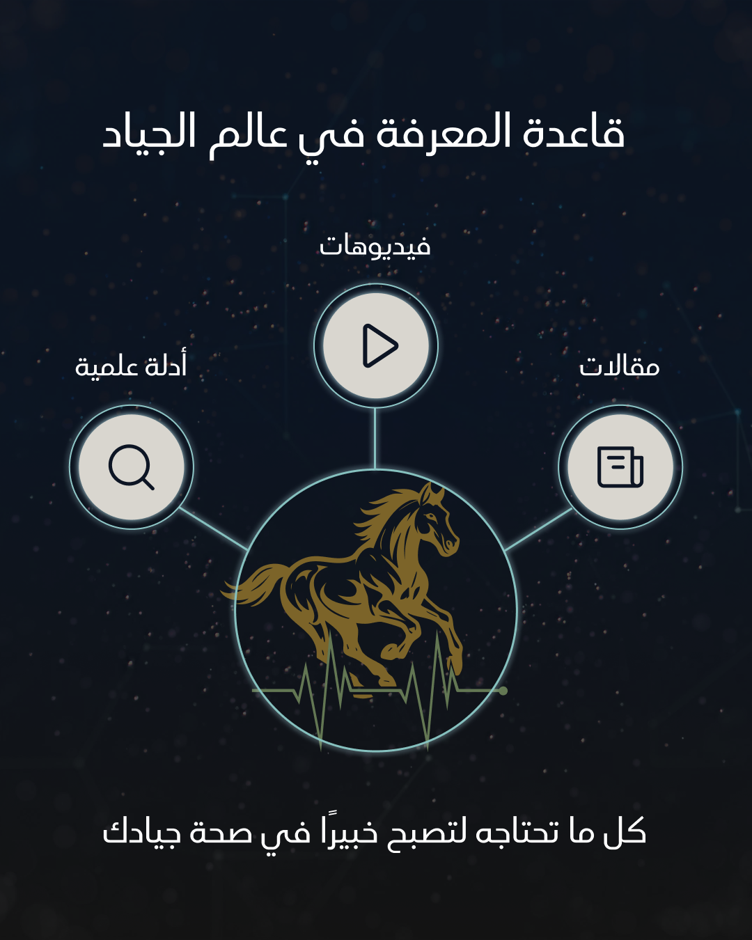 الأمان والخصوصية